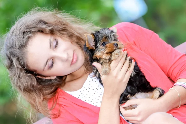 Mulher bela jovem feliz com cabelos longos segurando pequeno cão em — Fotografia de Stock