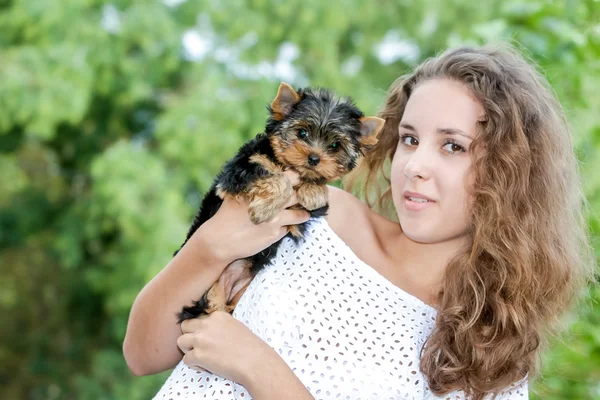 Mulher bela jovem feliz com cabelos longos segurando pequeno cão em — Fotografia de Stock