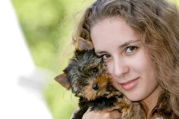 Mulher bela jovem feliz com cabelos longos segurando pequeno cão em — Fotografia de Stock