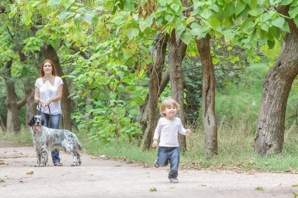 Giovane madre con bambino e cane godendo il loro tempo sulla natura , — Foto Stock