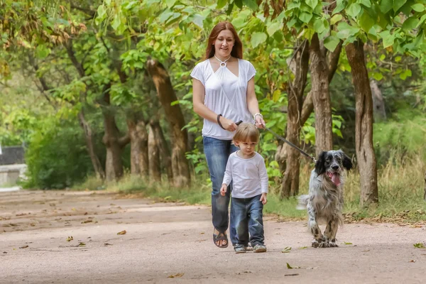 Jeune mère avec tout-petit et chien profitant de leur temps sur la nature , — Photo