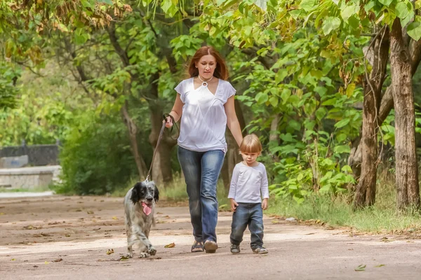 Nuori äiti, jolla on lapsi ja koira nauttivat ajastaan luonnossa , — kuvapankkivalokuva