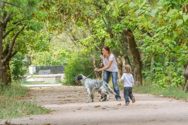 Jeune mère avec tout-petit et chien profitant de leur temps sur la nature , — Photo