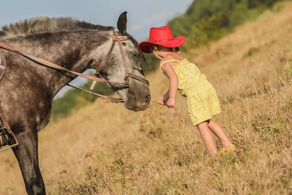 Fiatal, boldog lány lovaglás egy ló farm, rur szabadtéri portréja — Stock Fotó