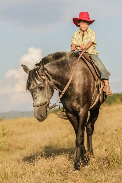 Außenporträt eines glücklichen Jungen auf einem Pferd auf einem Bauernhof, rura — Stockfoto