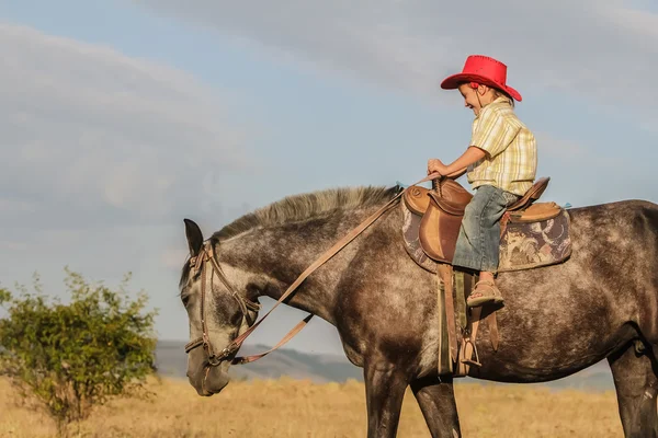 Outdoor portrait of young happy boy riding a horse on farm, rura — Stock Photo, Image