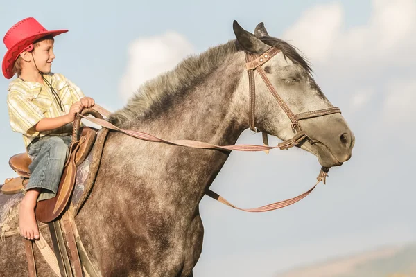 室外肖像的年轻快乐的男孩骑着马在农场里，rura — 图库照片