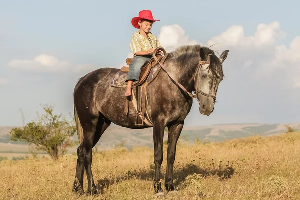 Outdoor portrait of young happy boy riding a horse on farm, rura — Stock Photo, Image