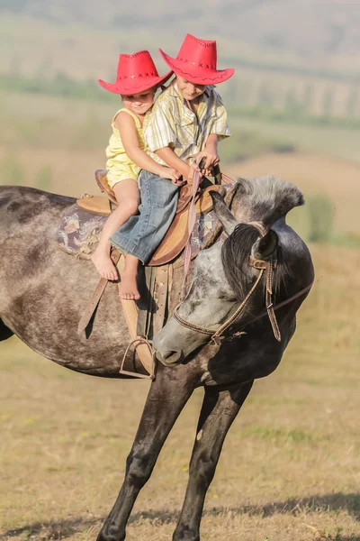 Двоє маленьких щасливих дітей катаються на коні на фермі, портрет на відкритому повітрі — стокове фото