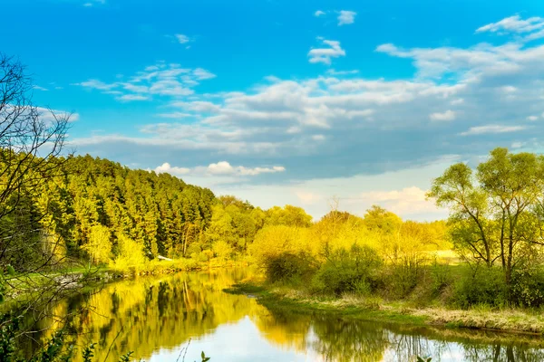 Calm summer day on river, landscape sunny image — Stock Photo, Image