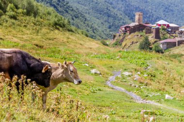 Gürcistan, dağ arka plan antik taş kule