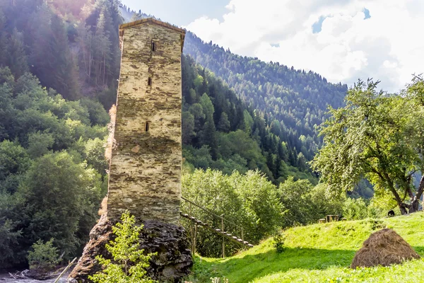 Ancient stone tower in Georgia, mountain background — Stock Photo, Image