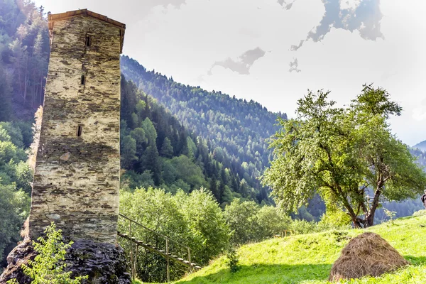 Antica torre in pietra in Georgia, sfondo di montagna — Foto Stock