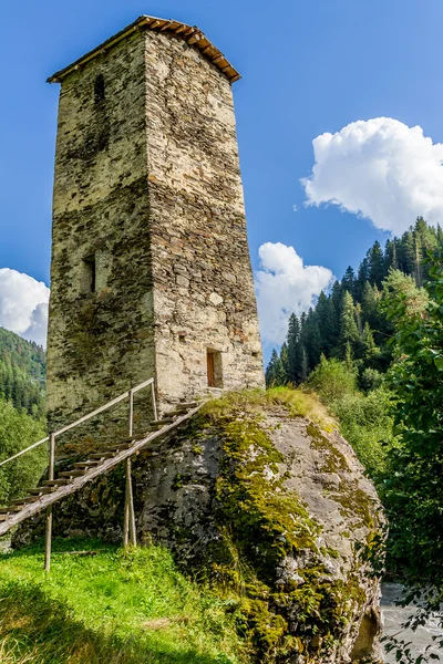 Oude stenen toren in Georgië, berg achtergrond — Stockfoto