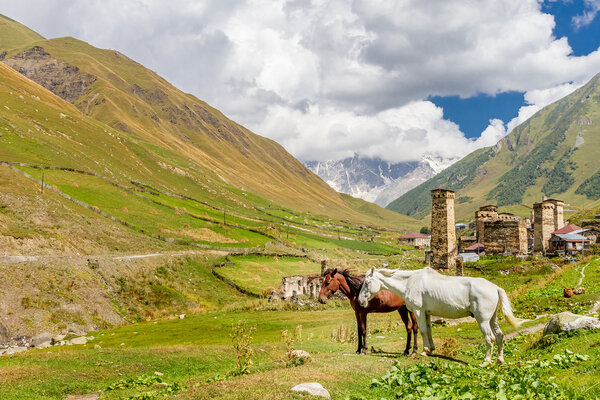 ancient stone tower in Georgia, mountain background