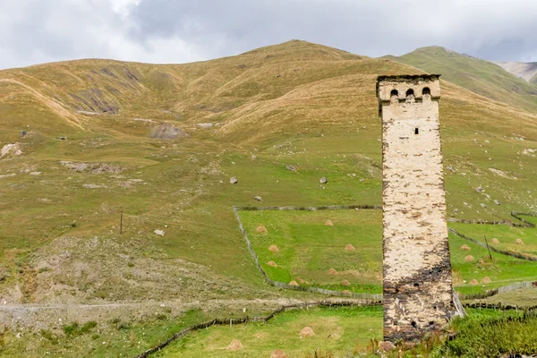 Gürcistan, dağ arka plan antik taş kule — Stok fotoğraf