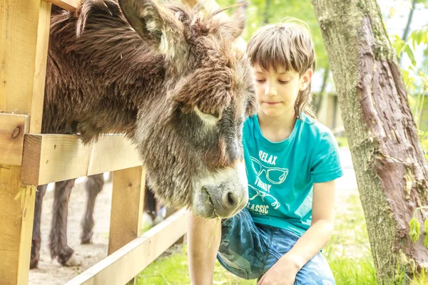 Retrato ao ar livre de jovem menino feliz alimentando burro na fazenda — Fotografia de Stock