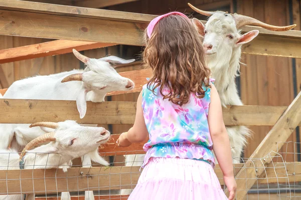 Outdoor portrait of young happy young girl feeding goat on farm — Stock Photo, Image