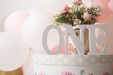 Bir yıl kız doğum günü stüdyo dekorasyonu