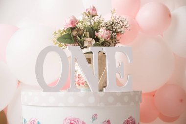 Bir yıl kız doğum günü stüdyo dekorasyonu