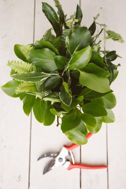 Çiçek atölyesi, taze çiçek düzenlemeleri.