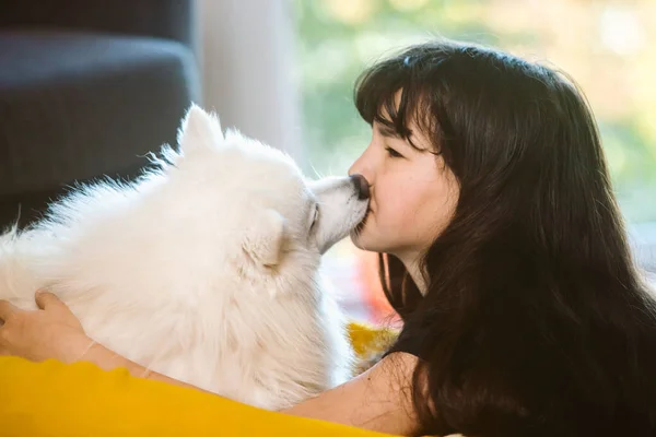 Porträtt Söt Vit Hund Japansk Spotta Leka Med Flicka Hemma — Stockfoto