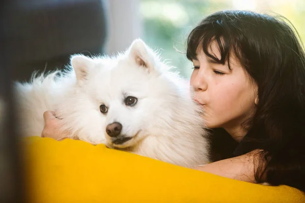 Portrét Bílého Štěněte Japonky Spitz Pes Hrát Dívkou Doma — Stock fotografie