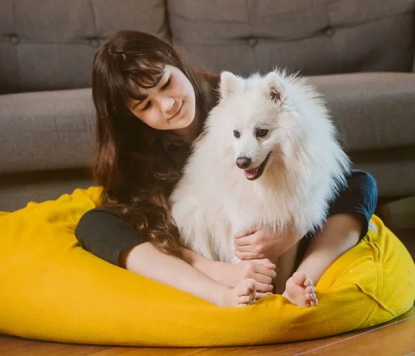 Porträtt Vit Valp Japansk Spitz Hund Leker Med Flicka Hemma — Stockfoto