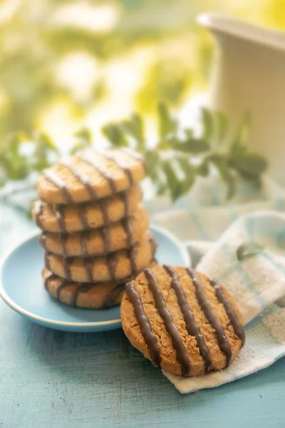 Granola Och Kakor Hälsosam Kost Välbefinnande Hälsosam Livsstil Frukost Morgonen — Stockfoto