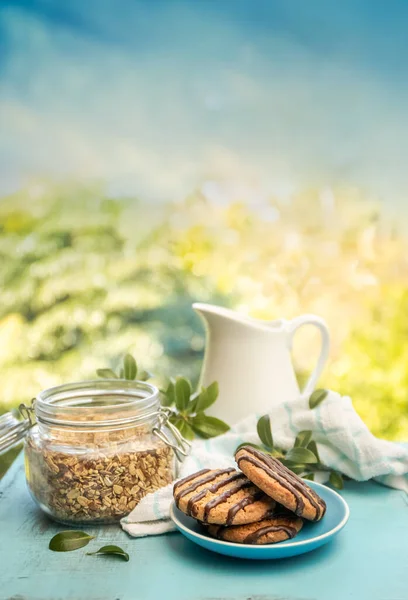 Granola Koekjes Gezond Eten Welzijn Gezonde Levensstijl Ontbijt Ochtend — Stockfoto