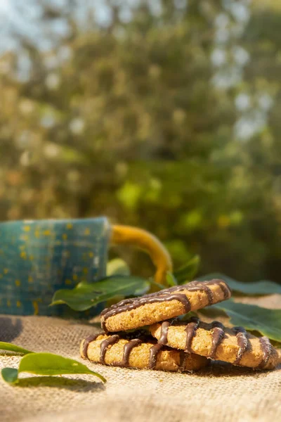 Galletas Alimentación Saludable Bienestar Estilo Vida Saludable Desayuno Por Mañana —  Fotos de Stock