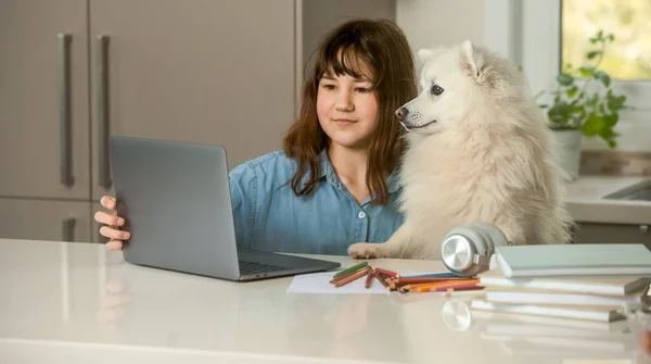 Retrato Niña Haciendo Tareas Línea Con Perro Mascota Educación Casa —  Fotos de Stock