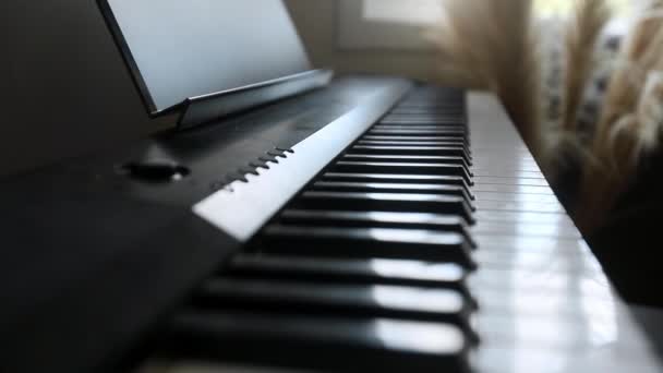 Teclado de piano acústico o digital, teclas de piano en blanco y negro, equipo de música — Vídeo de stock