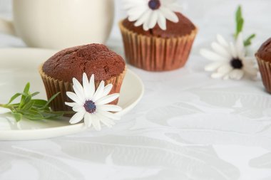 Kahvaltıda ya da tatlıda ev yapımı kekler, açık beyaz-gri arka planda kekler.