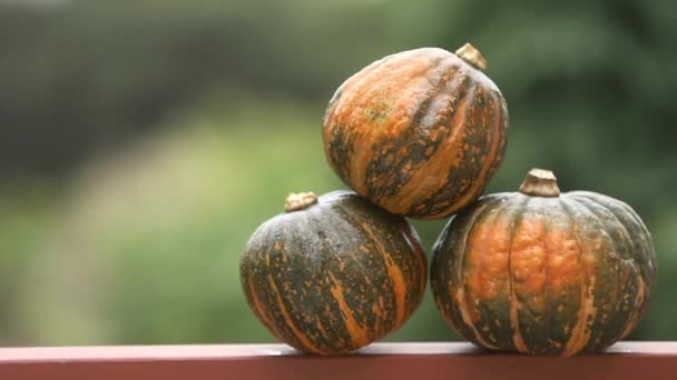 Calabazas sobre fondo rústico de madera, aotoño, acción de gracias, halloween o concepto de cosecha — Vídeo de stock