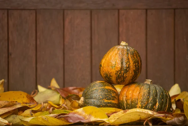 Calabazas sobre fondo rústico de madera, aotoño, acción de gracias, halloween o concepto de cosecha — Foto de Stock