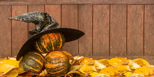 Zucche su sfondo rustico in legno, aautunno, Ringraziamento, Halloween o concetto di raccolta — Foto Stock
