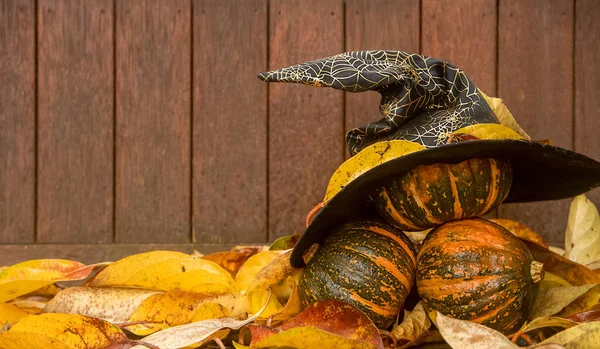 Calabazas sobre fondo rústico de madera, aotoño, acción de gracias, halloween o concepto de cosecha — Foto de Stock