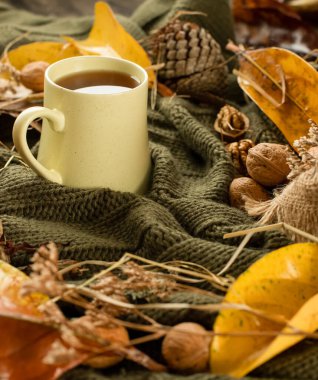 Yapraklar, kurumuş çimenler, balkabağı, ceviz ve çay fincanı örgü örülmüş battaniye, sonbahar havası, merhaba sonbahar konsepti