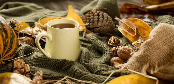 Φθινοπωρινό φόντο με φύλλα, αποξηραμένο γρασίδι, κολοκύθα, καρύδια και κούπα τσάι σε πλεκτή κουβέρτα, φθινοπωρινή διάθεση, γεια έννοια φθινόπωρο — Φωτογραφία Αρχείου