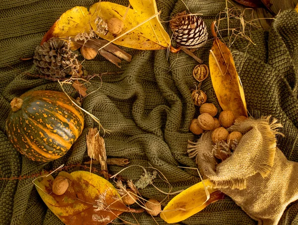 Podzimní zázemí s listy, sušená tráva, dýně, vlašské ořechy na pletené přikrývce, podzimní nálada, ahoj podzimní koncept — Stock fotografie