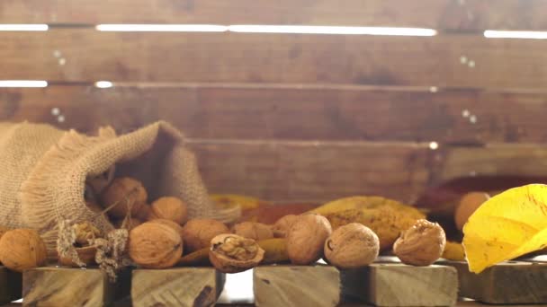 Canvas väska med valnötter på trä bakgrund, höst skörd koncept, hälsosam mat, tacksägelse och falla bakgrund — Stockvideo