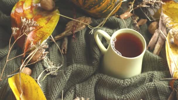Fondo de otoño con hojas, hierba seca, calabaza, nueces y taza de té en manta de punto, estado de ánimo de otoño, hola concepto de otoño — Vídeo de stock