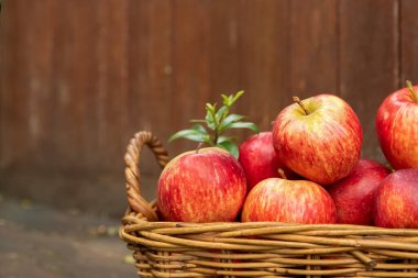 Doğal arka planda kırmızı ve sarı taze elmalar sağlıklı beslenme, sonbahar hasadı, çiftçilik.