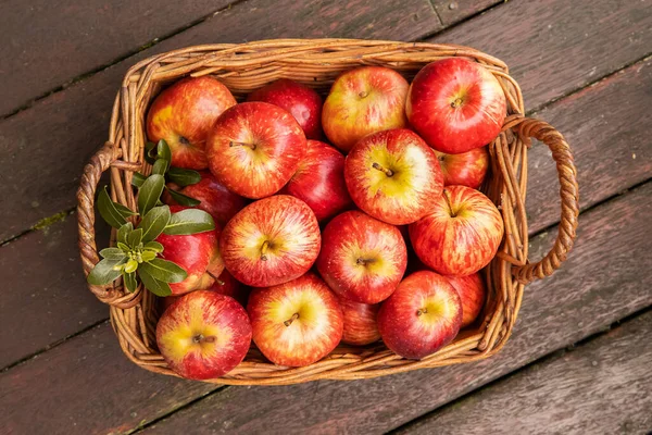 Red and yellow fresh apples on natural background outdoors, healthy eating, autumn harvest, farming — Stock Photo, Image