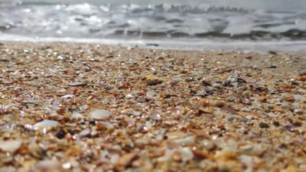 Ondas de água na praia de areia, destino turístico, conceito de cuidado de água — Vídeo de Stock
