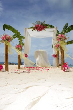 Düğün kemer ve tropik sahilde çiçekli kurulum