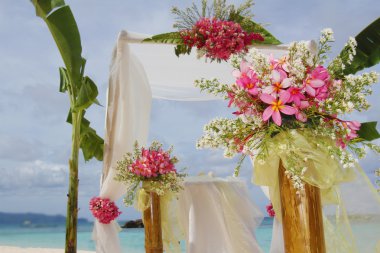 Düğün kemer ve tropik sahilde çiçekli kurulum