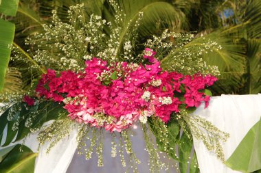 Yeşil tropikal çiçek ağaç arka plan palmiye