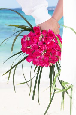 tropikal plaj, gelin ve Damat Düğün